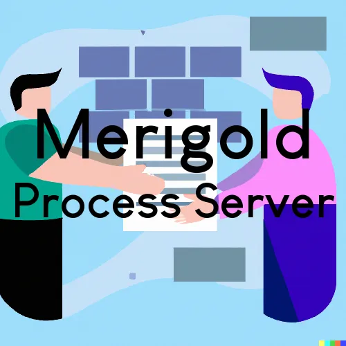Merigold, MS Process Servers in Zip Code 38759