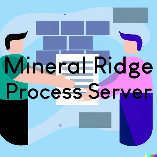 Mineral Ridge, OH Process Servers in Zip Code 44440