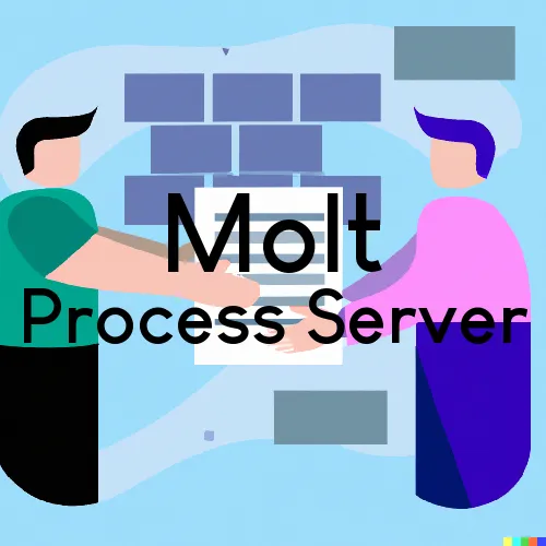 Courthouse Runner and Process Servers in Molt
