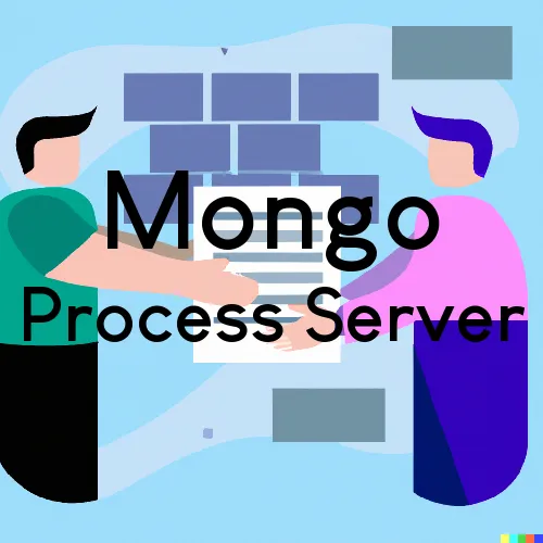 Mongo, Indiana Court Couriers and Process Servers