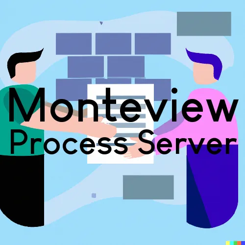Monteview, ID Process Server, “On time Process“ 