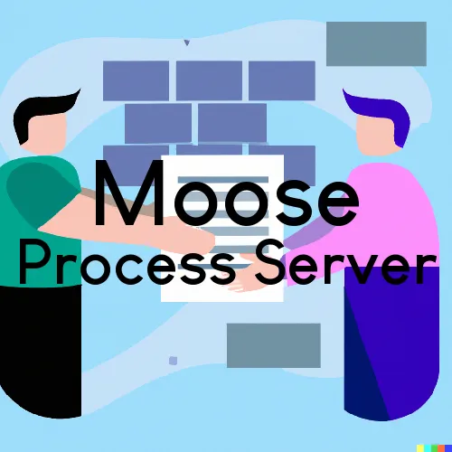 Moose, Wyoming Process Servers