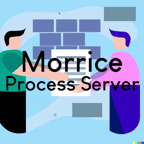 Courthouse Runner and Process Servers in Morrice