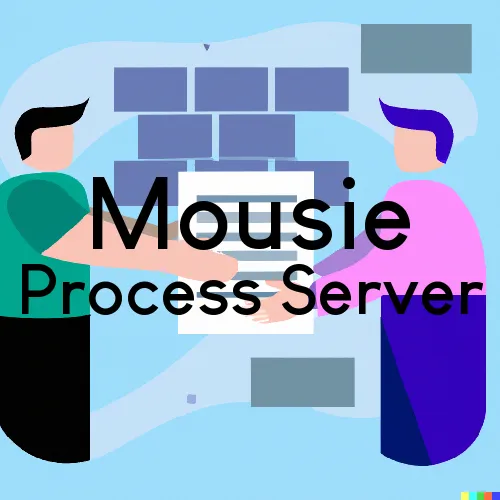 Mousie, KY Process Server, “Process Support“ 