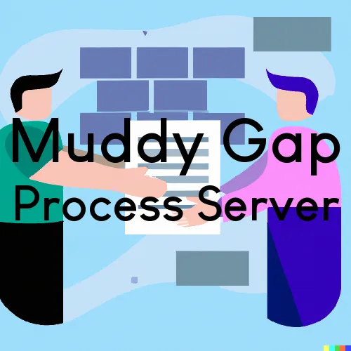 Muddy Gap, Wyoming Process Servers