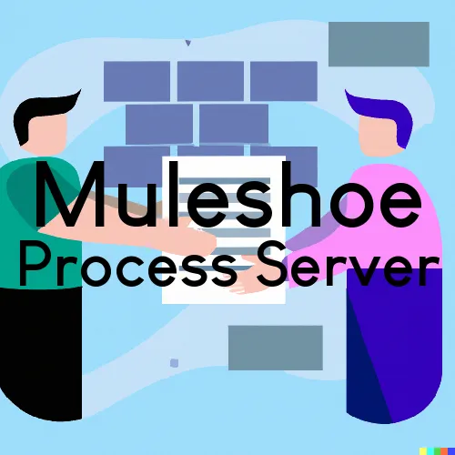 Muleshoe, TX Process Servers in Zip Code 79347