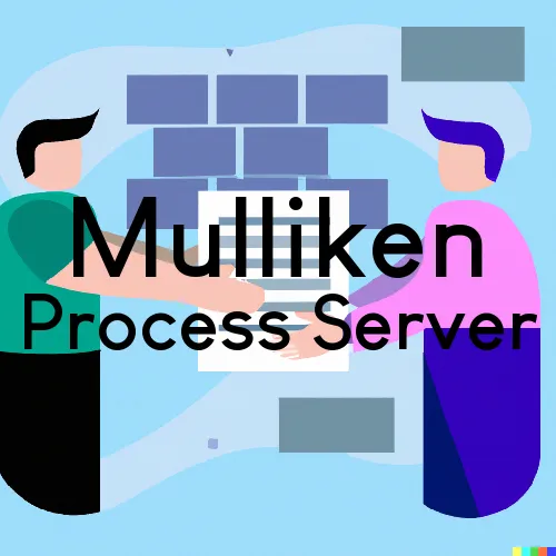 Mulliken, MI Process Servers in Zip Code 48861
