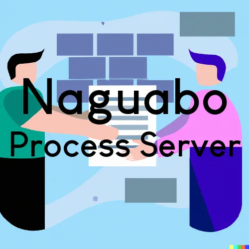 Naguabo, PR Process Server, “Server One“ 