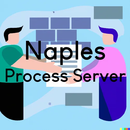 Naples, Florida Process Server Fees