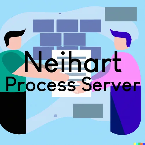 Courthouse Runner and Process Servers in Neihart