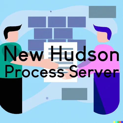 MI Process Servers in New Hudson, Zip Code 48165