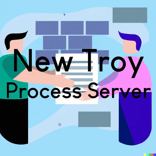 New Troy, Michigan Process Servers and Field Agents