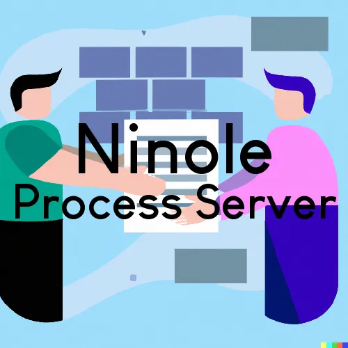 Ninole Process Servers and Court Messengers