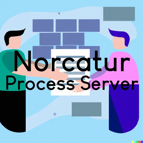 Courthouse Couriers and Process Servers in Norcatur 