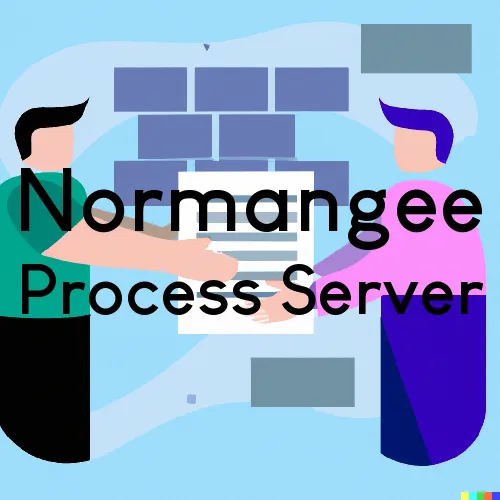 Normangee TX Court Document Runners and Process Servers