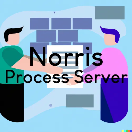 Process Servers in Norris, Montana 