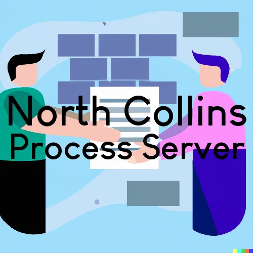 North Collins, NY Process Server, “SKR Process“ 