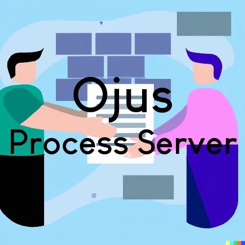  Ojus Process Server, “Serving by Observing“ for Serving Registered Agents