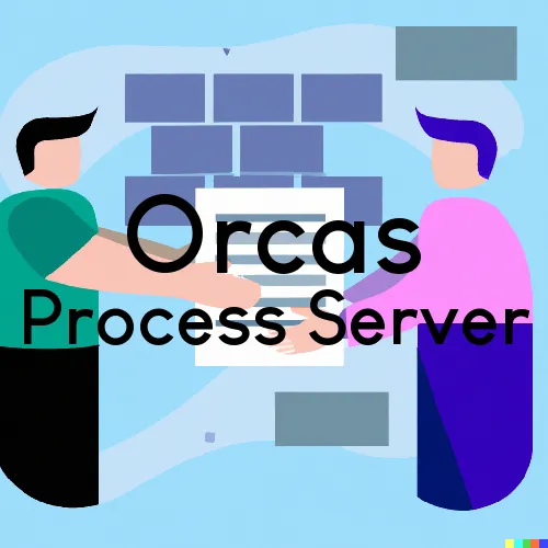 Orcas, WA Process Servers in Zip Code 98280