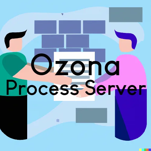 Ozona, TX Process Servers in Zip Code 76943
