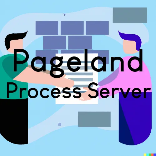 Pageland, South Carolina Process Servers and Field Agents