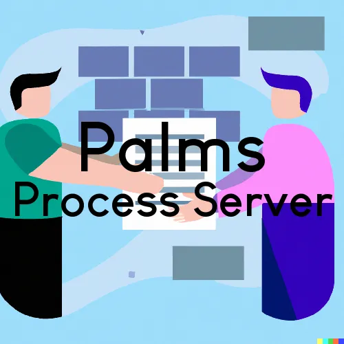 Palms, Michigan Process Servers