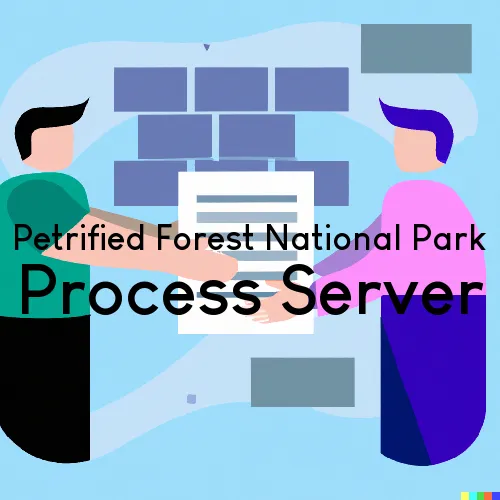 Petrified Forest National Park, AZ Process Servers and Courtesy Copy Messengers