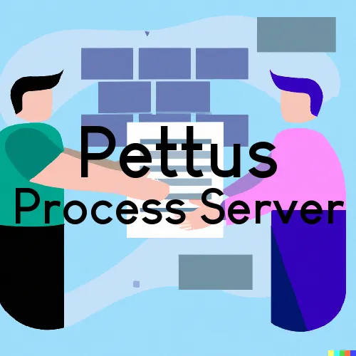 Pettus, WV Process Servers in Zip Code 25209