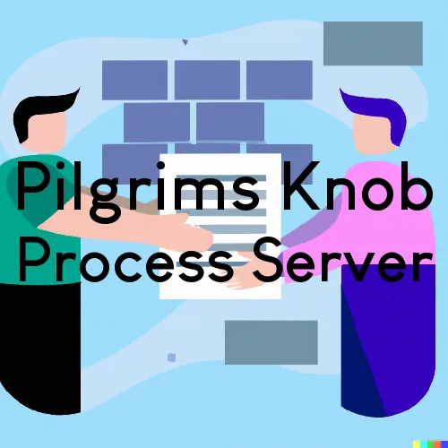 Pilgrims Knob Process Server, “On time Process“ 