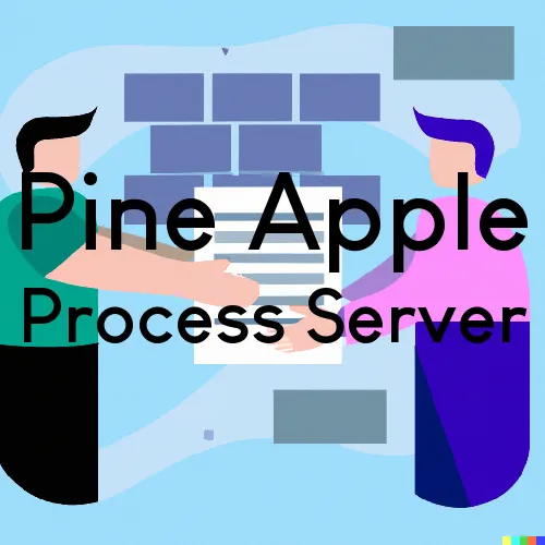 Pine Apple, Alabama Process Servers and Field Agents