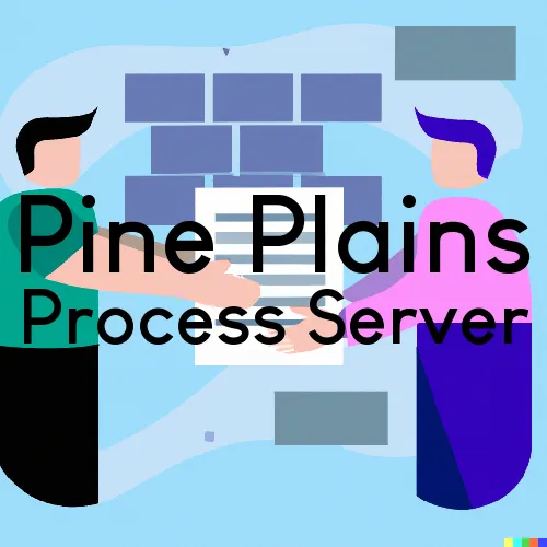 Pine Plains, NY Process Server, “All State Process Servers“ 