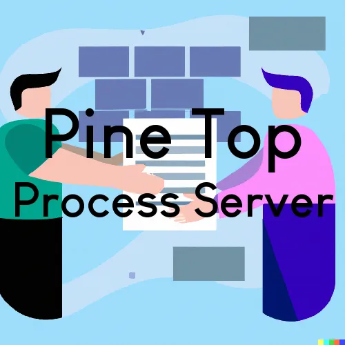 Pine Top, Kentucky Process Servers