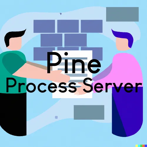 Pine, Colorado Process Servers
