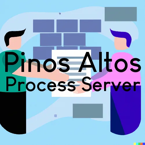 Pinos Altos, New Mexico Process Servers