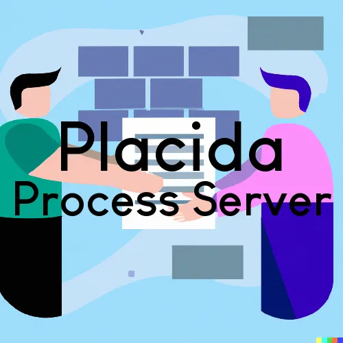 Placida Process Server, “Guaranteed Process“ 