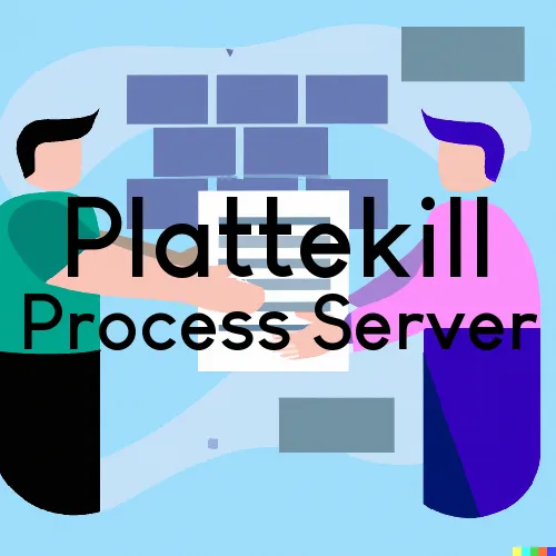 Plattekill, NY Process Servers in Zip Code 12568