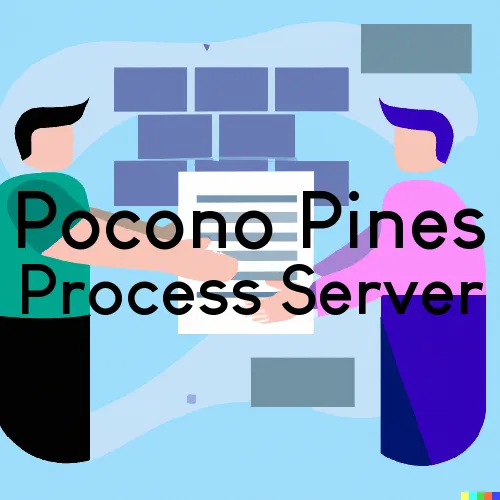 Pocono Pines, PA Process Server, “Statewide Judicial Services“ 