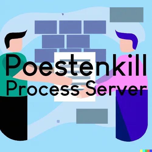 Poestenkill, NY Process Servers in Zip Code 12140