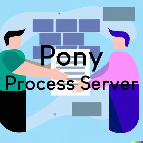 Pony, Montana Court Couriers and Process Servers