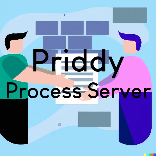 Priddy, TX Process Servers in Zip Code 76870
