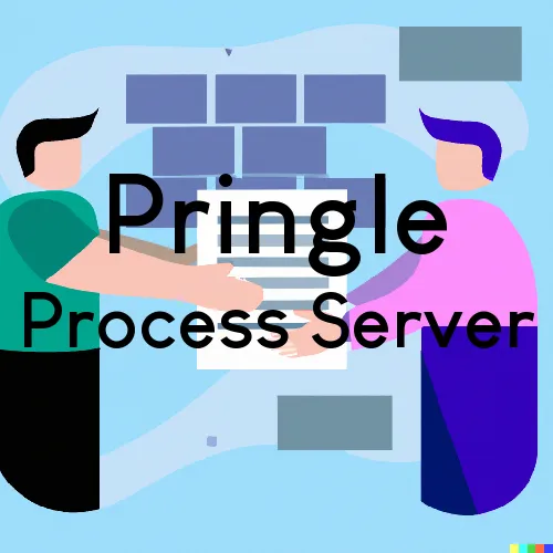 Pringle Process Server, “Chase and Serve“ 