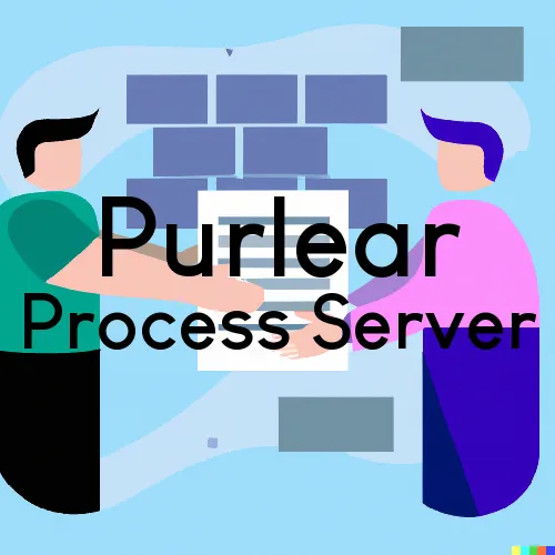 Purlear, North Carolina Process Servers