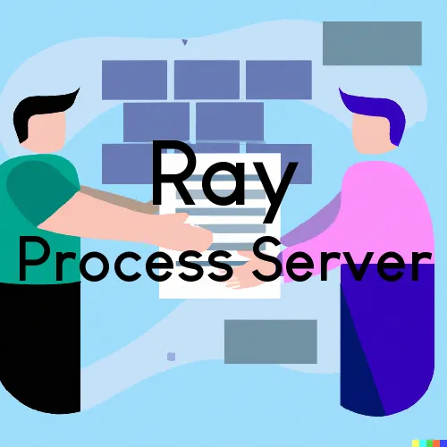 Ray, Minnesota Process Servers