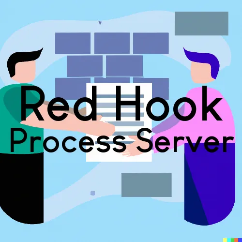NY Process Servers in Red Hook, Zip Code 12571