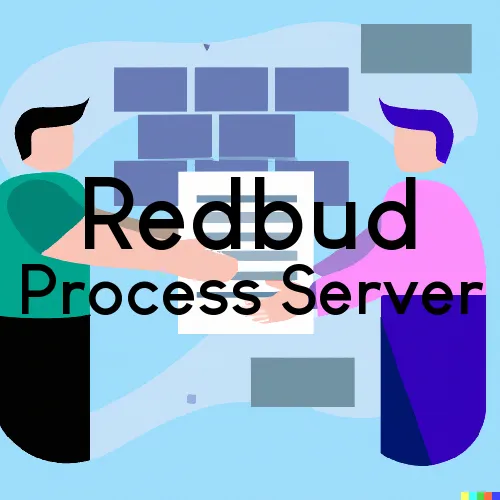 Redbud, KY Process Server, “Rush and Run Process“ 