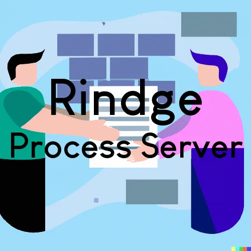 Rindge, NH Process Server, “Server One“ 