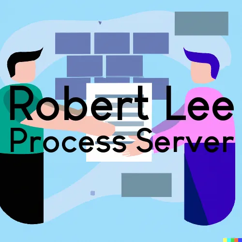 Robert Lee, TX Process Servers in Zip Code 76945