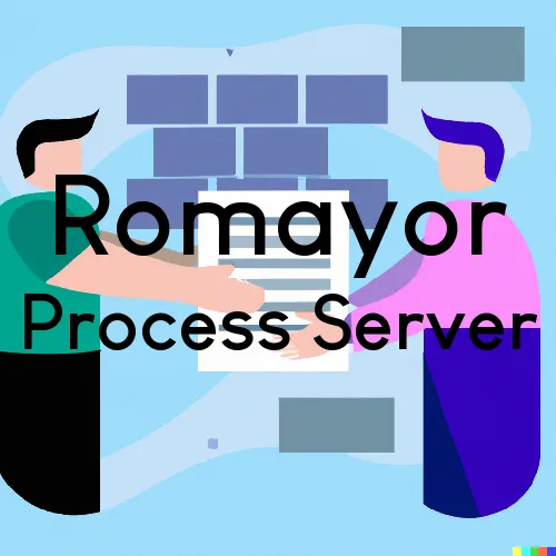 Romayor, Texas Process Servers
