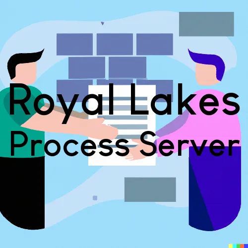 Royal Lakes, IL Process Servers in Zip Code 62685