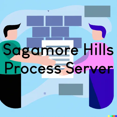 Sagamore Hills, OH Process Servers in Zip Code 44067